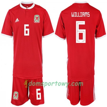 Koszulka Walia WILLIAMS 6 Dziecięcy Domowe Koszulki Piłkarskie 2018-2019 Krótki Rękaw